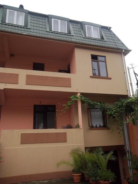 Temo'S Guesthouse サルピ エクステリア 写真