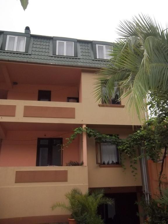 Temo'S Guesthouse サルピ エクステリア 写真