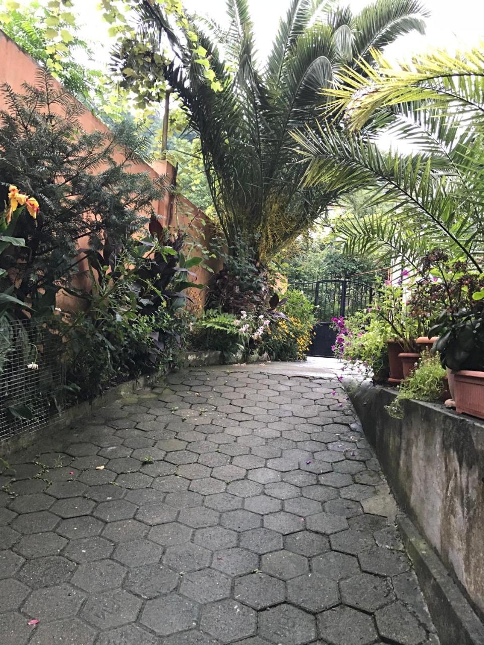 Temo'S Guesthouse サルピ エクステリア 写真